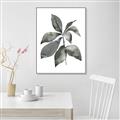Picture of Black Watercolour Botanical I _GroupedProduct_Rectangle_Portrait_Canvas_Framed_