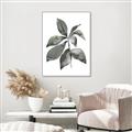 Picture of Black Watercolour Botanical I _GroupedProduct_Rectangle_Portrait_Canvas_Framed_