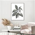 Picture of Black Watercolour Botanical I _GroupedProduct_Rectangle_Portrait_Canvas_Framed_