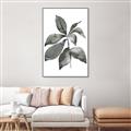 Picture of Black Watercolour Botanical I _GroupedProduct_Rectangle_Portrait_Canvas_Framed_