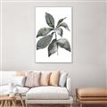 Picture of Black Watercolour Botanical I _GroupedProduct_Rectangle_Portrait_Canvas_Framed_