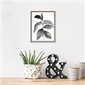 Picture of Black Watercolour Botanical II  _GroupedProduct_Rectangle_Portrait_Canvas_Framed_
