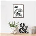 Picture of Black Watercolour Botanical II  _GroupedProduct_Rectangle_Portrait_Canvas_Framed_