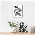 Picture of Black Watercolour Botanical II  _GroupedProduct_Rectangle_Portrait_Canvas_Framed_