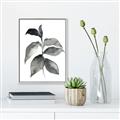 Picture of Black Watercolour Botanical II  _GroupedProduct_Rectangle_Portrait_Canvas_Framed_