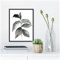 Picture of Black Watercolour Botanical II  _GroupedProduct_Rectangle_Portrait_Canvas_Framed_