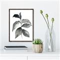 Picture of Black Watercolour Botanical II  _GroupedProduct_Rectangle_Portrait_Canvas_Framed_