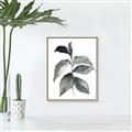 Picture of Black Watercolour Botanical II  _GroupedProduct_Rectangle_Portrait_Canvas_Framed_