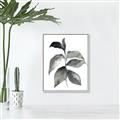 Picture of Black Watercolour Botanical II  _GroupedProduct_Rectangle_Portrait_Canvas_Framed_