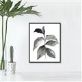 Picture of Black Watercolour Botanical II  _GroupedProduct_Rectangle_Portrait_Canvas_Framed_