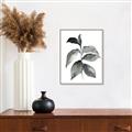 Picture of Black Watercolour Botanical II  _GroupedProduct_Rectangle_Portrait_Canvas_Framed_