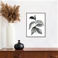 Picture of Black Watercolour Botanical II  _GroupedProduct_Rectangle_Portrait_Canvas_Framed_