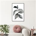 Picture of Black Watercolour Botanical II  _GroupedProduct_Rectangle_Portrait_Canvas_Framed_