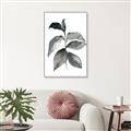 Picture of Black Watercolour Botanical II  _GroupedProduct_Rectangle_Portrait_Canvas_Framed_