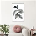 Picture of Black Watercolour Botanical II  _GroupedProduct_Rectangle_Portrait_Canvas_Framed_
