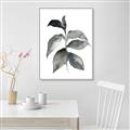 Picture of Black Watercolour Botanical II  _GroupedProduct_Rectangle_Portrait_Canvas_Framed_