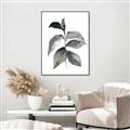 Picture of Black Watercolour Botanical II  _GroupedProduct_Rectangle_Portrait_Canvas_Framed_
