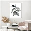 Picture of Black Watercolour Botanical II  _GroupedProduct_Rectangle_Portrait_Canvas_Framed_