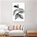 Picture of Black Watercolour Botanical II  _GroupedProduct_Rectangle_Portrait_Canvas_Framed_