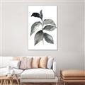 Picture of Black Watercolour Botanical II  _GroupedProduct_Rectangle_Portrait_Canvas_Framed_