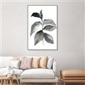Picture of Black Watercolour Botanical II  _GroupedProduct_Rectangle_Portrait_Canvas_Framed_