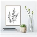 Picture of Whimsy Botanical I  _GroupedProduct_Rectangle_Portrait_Canvas_Framed_