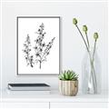 Picture of Whimsy Botanical I  _GroupedProduct_Rectangle_Portrait_Canvas_Framed_
