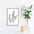 Picture of Whimsy Botanical I  _GroupedProduct_Rectangle_Portrait_Canvas_Framed_