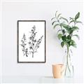 Picture of Whimsy Botanical I  _GroupedProduct_Rectangle_Portrait_Canvas_Framed_
