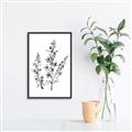 Picture of Whimsy Botanical I  _GroupedProduct_Rectangle_Portrait_Canvas_Framed_
