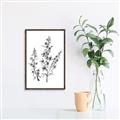 Picture of Whimsy Botanical I  _GroupedProduct_Rectangle_Portrait_Canvas_Framed_