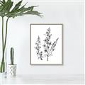 Picture of Whimsy Botanical I  _GroupedProduct_Rectangle_Portrait_Canvas_Framed_