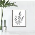 Picture of Whimsy Botanical I  _GroupedProduct_Rectangle_Portrait_Canvas_Framed_