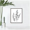 Picture of Whimsy Botanical I  _GroupedProduct_Rectangle_Portrait_Canvas_Framed_