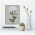 Picture of White flower I  _GroupedProduct_Rectangle_Portrait_Canvas_Framed_
