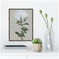 Picture of White flower I  _GroupedProduct_Rectangle_Portrait_Canvas_Framed_