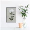 Picture of White flower I  _GroupedProduct_Rectangle_Portrait_Canvas_Framed_