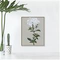Picture of White flower I  _GroupedProduct_Rectangle_Portrait_Canvas_Framed_
