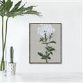 Picture of White flower I  _GroupedProduct_Rectangle_Portrait_Canvas_Framed_