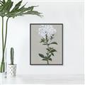Picture of White flower I  _GroupedProduct_Rectangle_Portrait_Canvas_Framed_