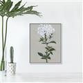 Picture of White flower I  _GroupedProduct_Rectangle_Portrait_Canvas_Framed_
