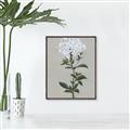 Picture of White flower I  _GroupedProduct_Rectangle_Portrait_Canvas_Framed_