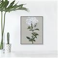 Picture of White flower I  _GroupedProduct_Rectangle_Portrait_Canvas_Framed_