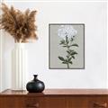 Picture of White flower I  _GroupedProduct_Rectangle_Portrait_Canvas_Framed_