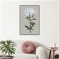 Picture of White flower I  _GroupedProduct_Rectangle_Portrait_Canvas_Framed_