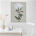 Picture of White flower I  _GroupedProduct_Rectangle_Portrait_Canvas_Framed_