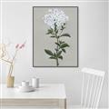 Picture of White flower I  _GroupedProduct_Rectangle_Portrait_Canvas_Framed_