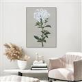 Picture of White flower I  _GroupedProduct_Rectangle_Portrait_Canvas_Framed_