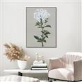 Picture of White flower I  _GroupedProduct_Rectangle_Portrait_Canvas_Framed_