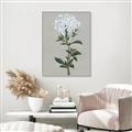 Picture of White flower I  _GroupedProduct_Rectangle_Portrait_Canvas_Framed_